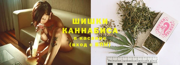 PSILOCYBIN Баксан